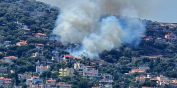 Αρτέμιδα: Πυρκαγιά κοντά σε σπίτια