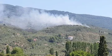Φωτιά και στο Πήλιο