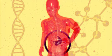 Ποιά τρόφιμα μπορούν να σας βοηθήσουν να καθαρίσετε το συκώτι σας