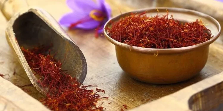 Κρόκος Κοζάνης: Μια μαγική υπερτροφή