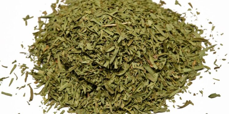 Εστραγκόν: ένα βότανο με υπέροχη γεύση και άρωμα