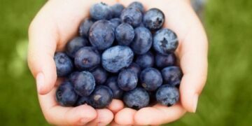 Μύρτιλο: Το ελιξίριο της μακροζωίας