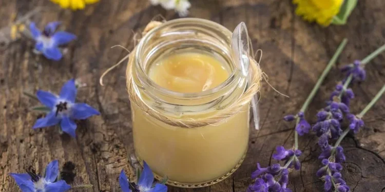 Βασιλικός πολτός: Μια πολυβιταμίνη - δώρο της φύσης