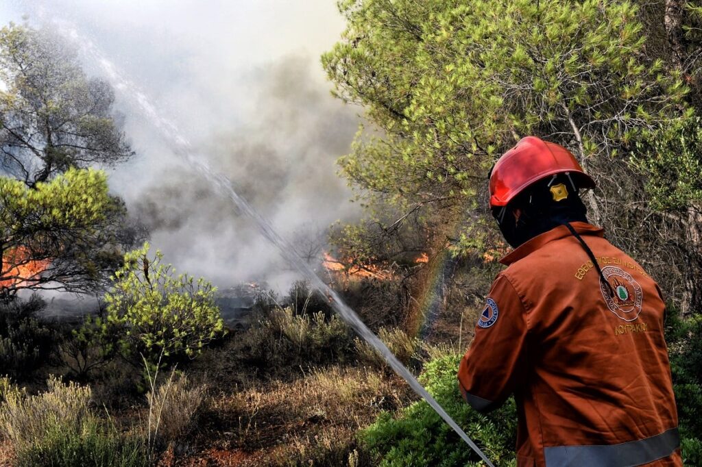 Φωτιά σε δασική έκταση στη Νέα Μάκρη - Διακοπή κυκλοφορίας στη λεωφόρο Διονύσου