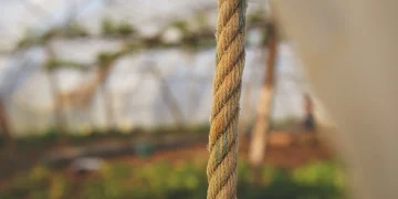 Ραφήνα: Νεαρή γυναίκα βρέθηκε κρεμασμένη σε δέντρο