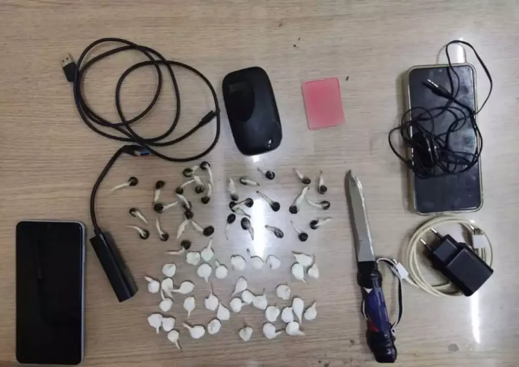 Έφοδος σε κελιά στις φυλακές Κορυδαλλού: Βρέθηκαν κοκαΐνη, χασίς, μαχαίρι μέχρι και wifi router