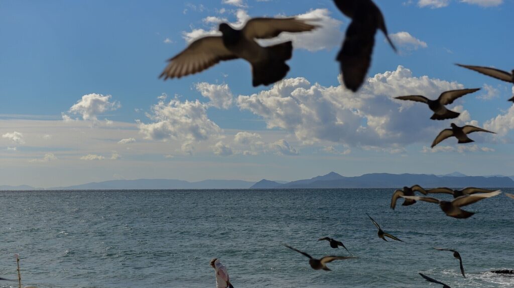 Ο καιρός σήμερα, Κυριακή των Βαΐων 28/4/2024
