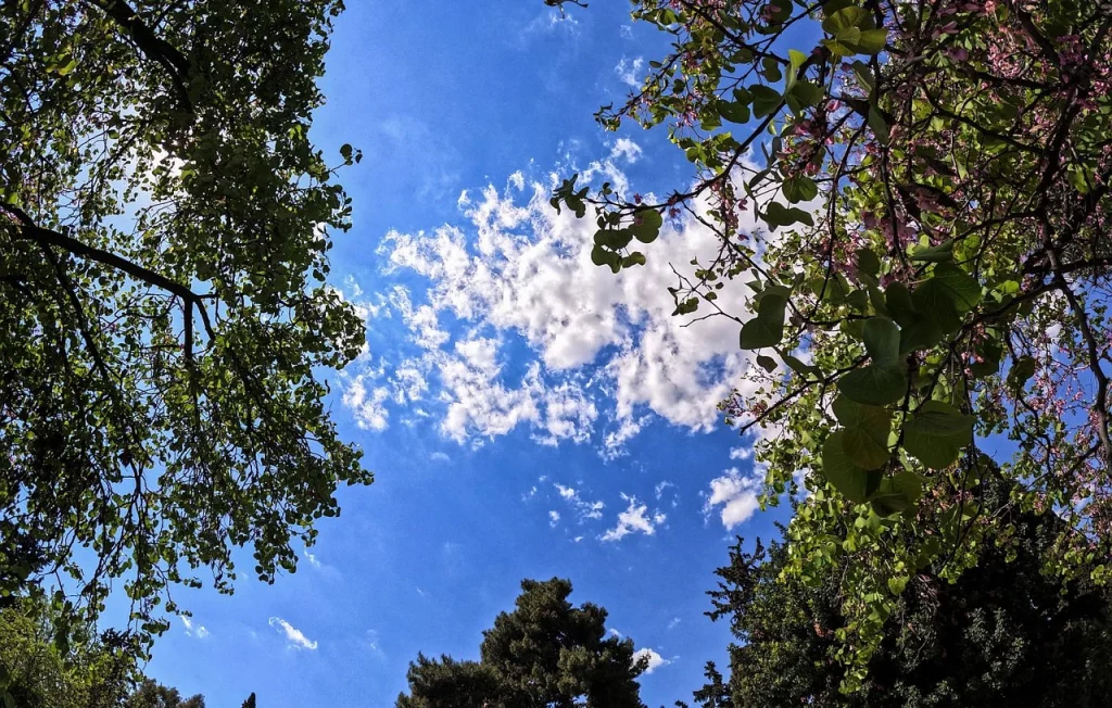 Ο καιρός σήμερα, Παρασκευή 24/5/2024