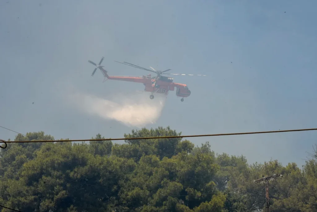 Αλεξανδρούπολη: Φωτιά σε αγροτοδασική έκταση κοντά στην Εγνατία Οδό