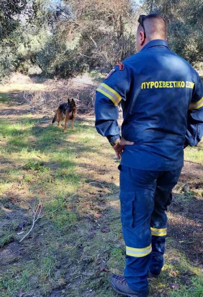 Άρτα: Εντοπίστηκε σώος ο 65χρονος περιπατητής που είχε χαθεί σε δάσος
