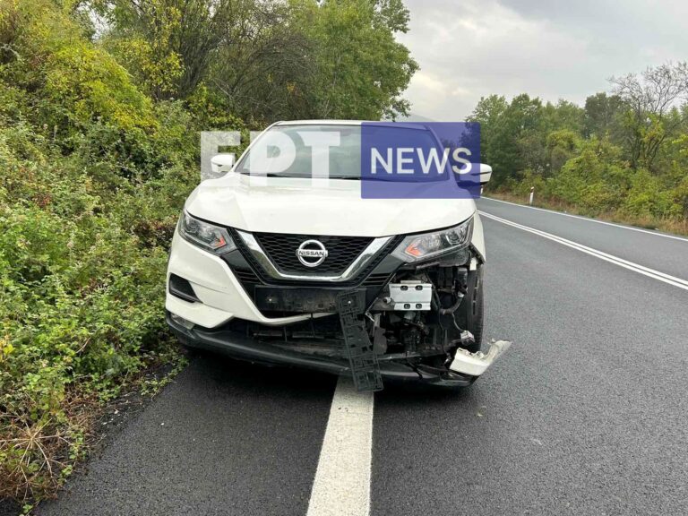 Καστοριά: Σκοτώθηκε ζαρκάδι που έπεσε πάνω σε ΙΧ έξω από τους Αμπελόκηπους