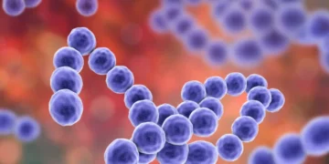 Στρεπτόκοκκος: Συμπτώματα και Αντιμετώπιση