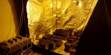 Διαμέρισμα στο κέντρο της Θεσσαλονίκης είχε μετατραπεί σε αυτοσχέδιο εργαστήριο υδροπονικής καλλιέργειας κάνναβης