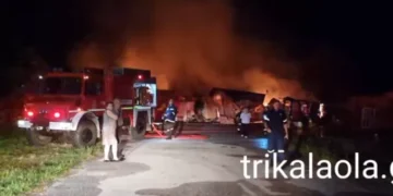 Τρίκαλα: Συναγερμός στην Πυροσβεστική - Μεγάλη πυρκαγιά σε εργοστάσιο ξυλείας
