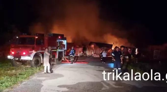 Τρίκαλα: Συναγερμός στην Πυροσβεστική - Μεγάλη πυρκαγιά σε εργοστάσιο ξυλείας