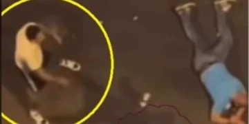 Σερβία: Άγριο ξύλο έξω από μπαρ του Βελιγραδίου με παίκτες της Παρτίζαν