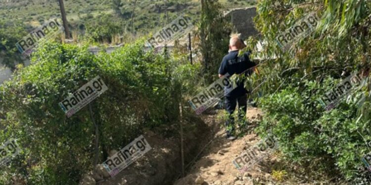 Πικέρμι: Εργάτης πέθανε από ηλεκτροπληξία ενώ καθάριζε οικόπεδο