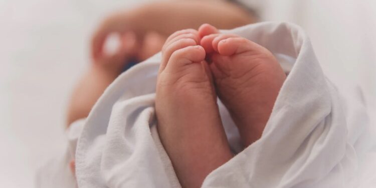 Θρίλερ στον Άλιμο: Βρέφος τριών μηνών βρέθηκε δίπλα σε κάδο απορριμμάτων – Η γιαγιά του είχε προηγουμένως καταγγείλει την αρπαγή του μωρού