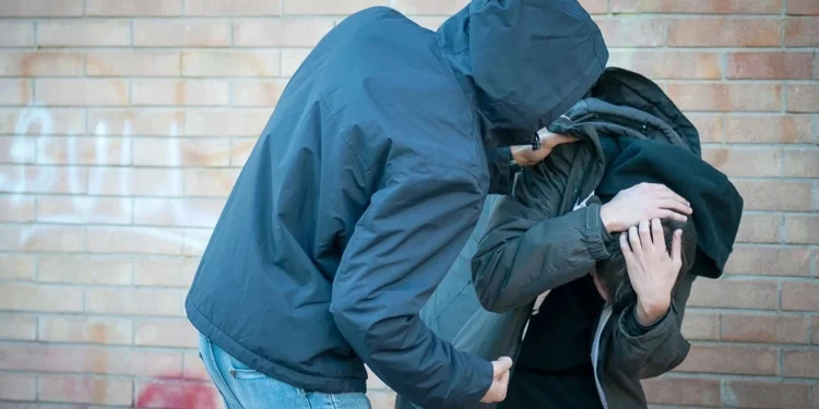 Θεσσαλονίκη: Άγρια επίθεση από τρεις ανηλίκους σε 17χρονο και 15χρονο στα Διαβατά - Στη ΜΕΘ ο ένας τραυματίας