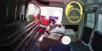 Συνελήφθη από το ΣΔΟΕ Αττικής 38χρονος που έφερε από την Ταϊλάνδη ναρκωτικά μέσα σε σκυλοτροφές