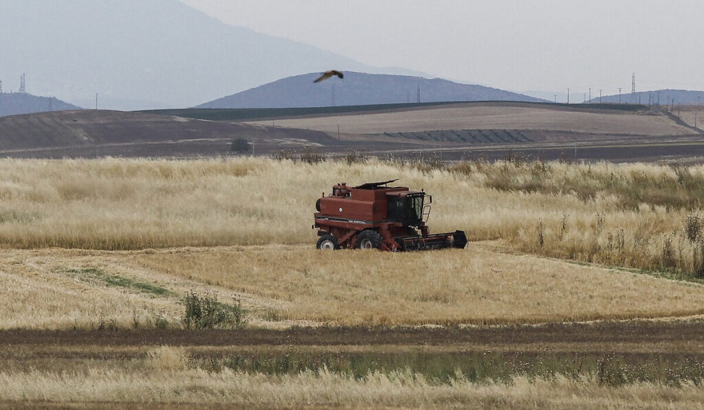 ΟΠΕΚΕΠΕ: O υπουργός Αγροτικής Ανάπτυξης Κώστας Τσιάρας καρατόμησε τον πρόεδρο του ΔΣ, Νικόλαο Σαλάτα, για λόγους επιτακτικού δημοσίου συμφέροντος