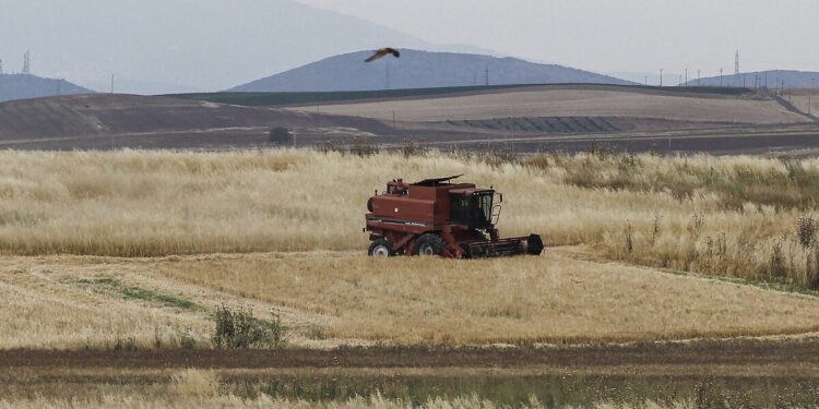 ΟΠΕΚΕΠΕ: O υπουργός Αγροτικής Ανάπτυξης Κώστας Τσιάρας καρατόμησε τον πρόεδρο του ΔΣ, Νικόλαο Σαλάτα, για λόγους επιτακτικού δημοσίου συμφέροντος