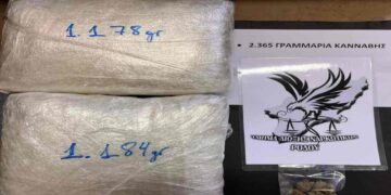 Ρόδος: Συνελήφθη, με τη συνδρομή ειδικά εκπαιδευμένου σκύλου, 22χρονη με 2 κιλά κάνναβης