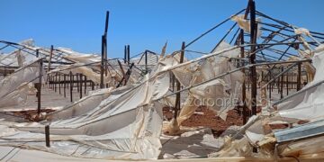 Χανιά: Ανυπολόγιστες καταστροφές στα θερμοκήπια από τους δυνατούς ανέμους στην Κουντούρα