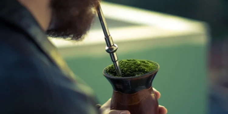 Τσάι Ματέ: Το ρόφημα που “καίει” λίπος