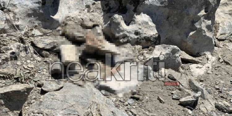 Κρήτη: Σορός 74χρονου εντοπίστηκε σε μονοπάτι στο δάσος του Κοφίνα στην περιοχή Κουδουμά