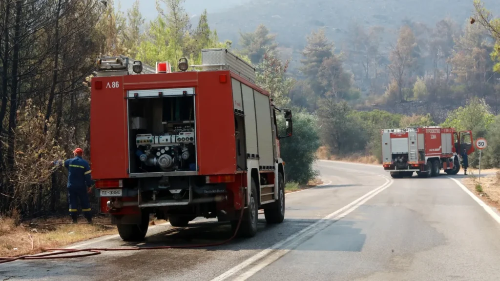 Σέρρες: Η Πυροσβεστική εντόπισε τη σορό άνδρα κατά την κατάσβεση φωτιάς στην περιοχή Παραλίμνι