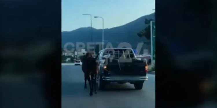 Απίστευτη κτηνωδία στην Κρήτη: "Άνθρωπος" έδεσε άλογο από το αυτοκίνητο