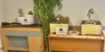 Κρήτη: Συνελήφθησαν στη Γόρτυνα δύο άτομα που έκρυβαν κάνναβη μέσα σε κυψέλες μελισσών