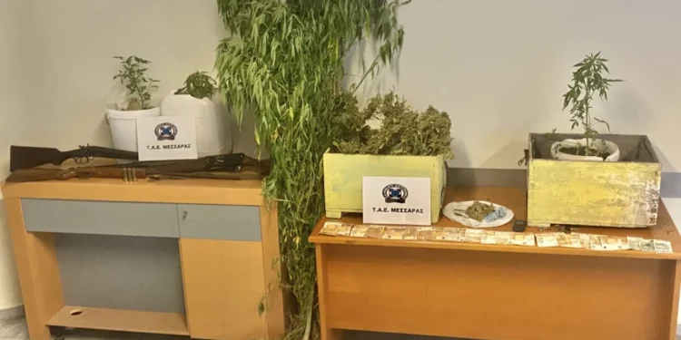 Κρήτη: Συνελήφθησαν στη Γόρτυνα δύο άτομα που έκρυβαν κάνναβη μέσα σε κυψέλες μελισσών