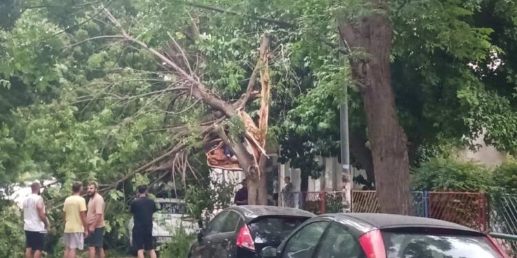 Ζημιές στην πόλη της Λάρισας από ισχυρό μπουρίνι