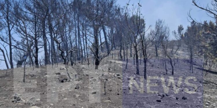 Σε κατάσταση έκτακτης ανάγκης η Χίος – Ζημιές σε καλλιέργειες, σπίτια και υποδομές