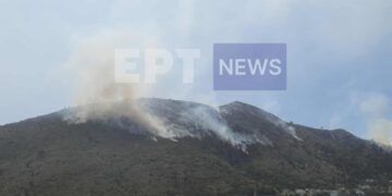 Χίος: Συνελήφθη στη Χίο γυναίκα υπήκοος Γεωργίας για την φωτιά στα Λεπτόποδα