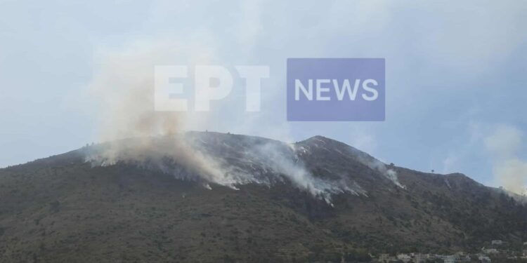 Χίος: Συνελήφθη στη Χίο γυναίκα υπήκοος Γεωργίας για την φωτιά στα Λεπτόποδα