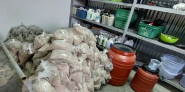 Σπάτα: Εντοπίστηκε κύκλωμα που έφερνε στην Ελλάδα κοκαΐνη σε εμποτισμένα δέρματα - 11 συλλήψεις