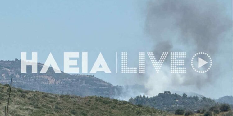 Φωτιά στην Αρχαία Ολυμπία – Έφτασε σε δάσος