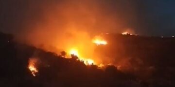 Φωτιά στην Εύβοια: Ολονύκτια μάχη με τις φλόγες στο Δήμο Καρύστου - Μήνυμα από το 112 για Λιμνιώνα και Τσακαιούς