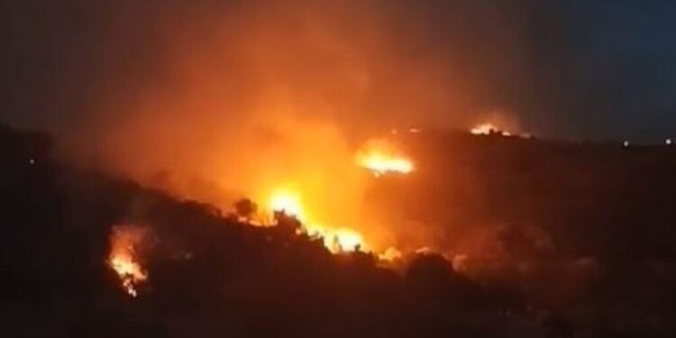 Φωτιά στην Εύβοια: Ολονύκτια μάχη με τις φλόγες στο Δήμο Καρύστου - Μήνυμα από το 112 για Λιμνιώνα και Τσακαιούς