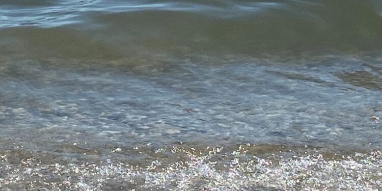 Τήνος: 63χρονη αλλοδαπή πνίγηκε στην παραλία του Αγίου Φωκά