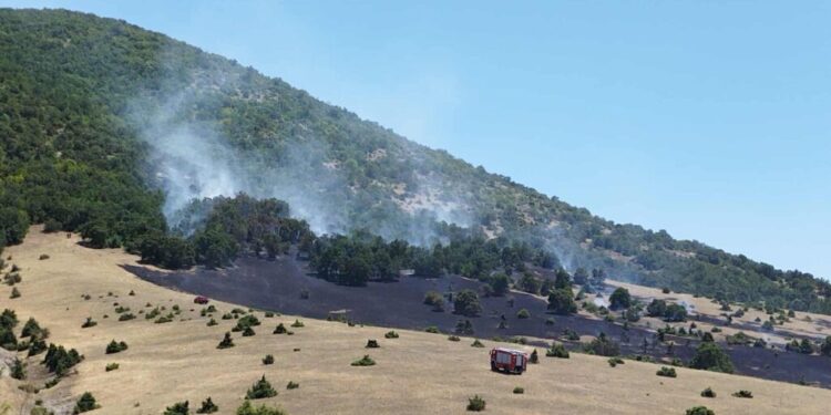 Κοζάνη: Συνελήφθη 75χρονος ως υπαίτιος για τη φωτιά στο Δρέπανο