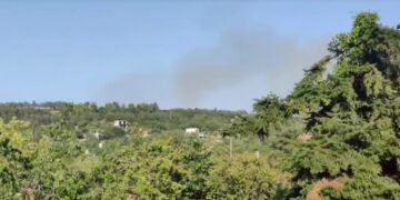 Θεσσαλονίκη: Υπό μερικό έλεγχο τέθηκε η φωτιά στο Φίλυρο