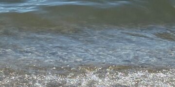 Μανδράκια Ερμιόνης: Νεκρός 52χρονος οδηγός αυτοκινήτου που έπεσε στη θάλασσα