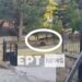 Καστοριά: Αναστάτωση στο Νεστόριο - Αρκούδα εμφανίστηκε σε αυλή σχολείου