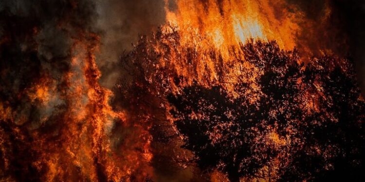 Τεράστια πυρκαγιά στην Κύπρο: Δύο νεκροί - Καίγονται δεκάδες σπίτια