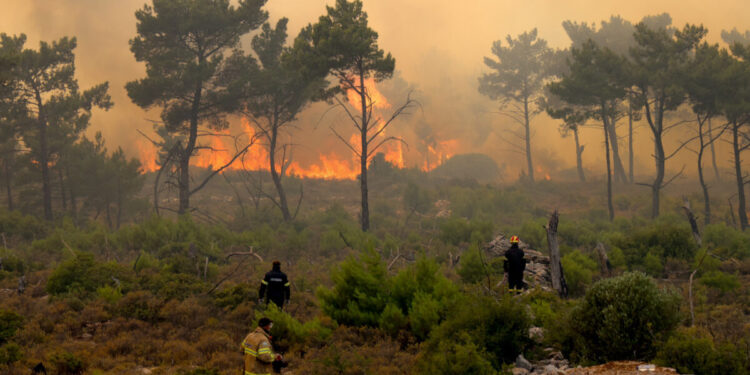 Φωτιά στη Χίο: Έρευνα για οργανωμένο σχέδιο εμπρησμού