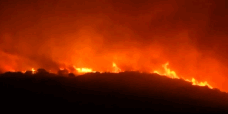 Ιταλία: Πυρκαγιά στη Σαρδηνία – Επιχείρηση απομάκρυνσης 140 λουόμενων με ταχύπλοα